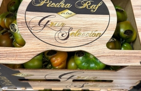 Tomate Piedra Raf GRAN SELECCIÓN